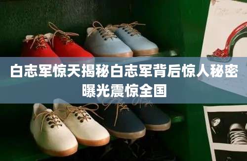 白志军惊天揭秘白志军背后惊人秘密曝光震惊全国