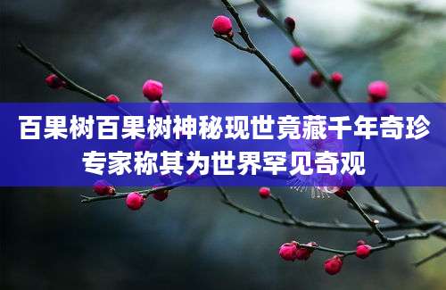 百果树百果树神秘现世竟藏千年奇珍专家称其为世界罕见奇观