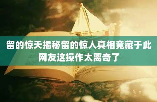 留的惊天揭秘留的惊人真相竟藏于此网友这操作太离奇了