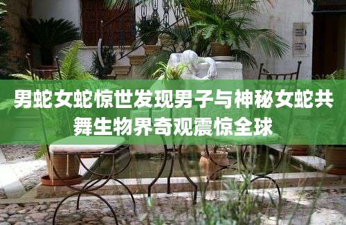 男蛇女蛇惊世发现男子与神秘女蛇共舞生物界奇观震惊全球