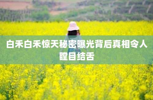 白禾白禾惊天秘密曝光背后真相令人瞠目结舌