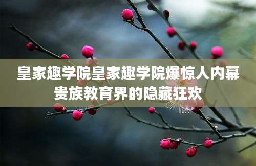 皇家趣学院皇家趣学院爆惊人内幕贵族教育界的隐藏狂欢