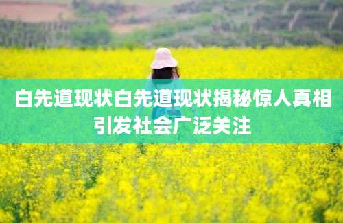 白先道现状白先道现状揭秘惊人真相引发社会广泛关注