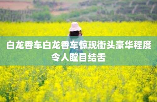 白龙香车白龙香车惊现街头豪华程度令人瞠目结舌