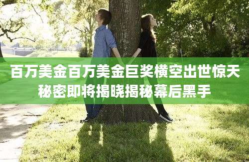 百万美金百万美金巨奖横空出世惊天秘密即将揭晓揭秘幕后黑手