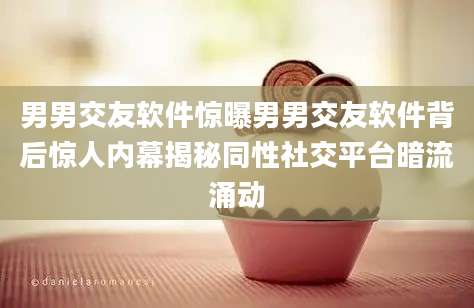男男交友软件惊曝男男交友软件背后惊人内幕揭秘同性社交平台暗流涌动