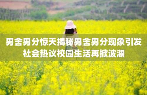 男舍男分惊天揭秘男舍男分现象引发社会热议校园生活再掀波澜