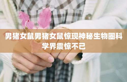 男猪女鼠男猪女鼠惊现神秘生物圈科学界震惊不已