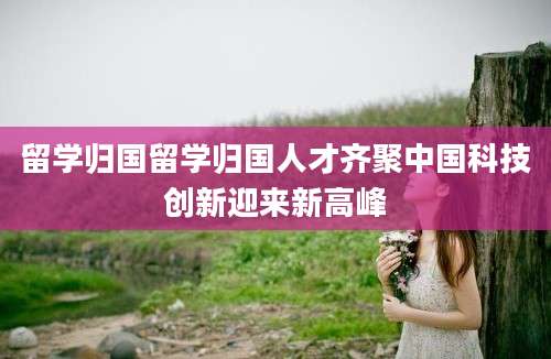 留学归国留学归国人才齐聚中国科技创新迎来新高峰