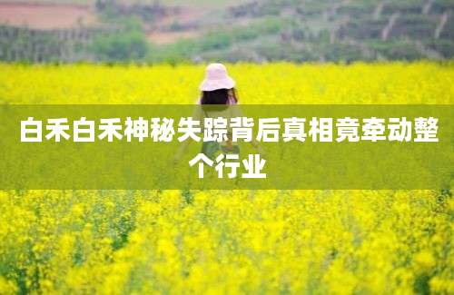 白禾白禾神秘失踪背后真相竟牵动整个行业