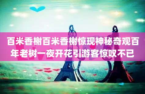 百米香榭百米香榭惊现神秘奇观百年老树一夜开花引游客惊叹不已