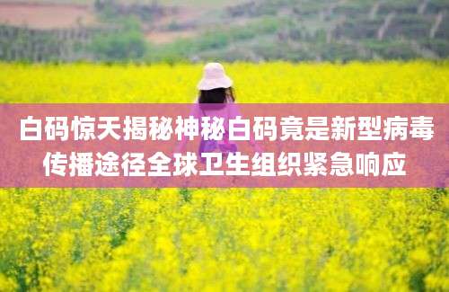 白码惊天揭秘神秘白码竟是新型病毒传播途径全球卫生组织紧急响应