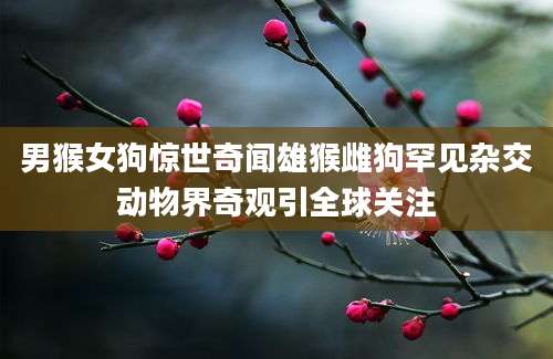 男猴女狗惊世奇闻雄猴雌狗罕见杂交动物界奇观引全球关注