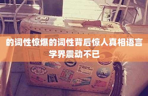 的词性惊爆的词性背后惊人真相语言学界震动不已
