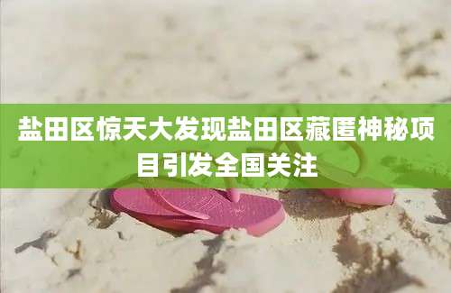 盐田区惊天大发现盐田区藏匿神秘项目引发全国关注