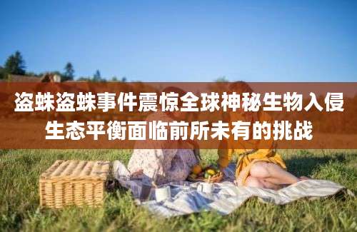 盗蛛盗蛛事件震惊全球神秘生物入侵生态平衡面临前所未有的挑战