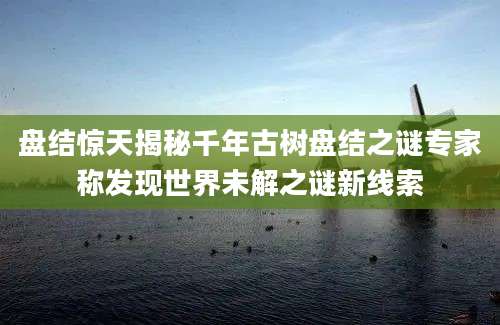 盘结惊天揭秘千年古树盘结之谜专家称发现世界未解之谜新线索