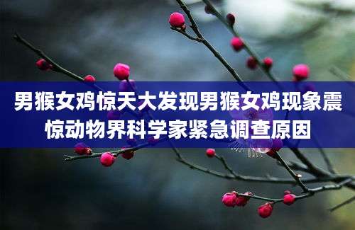 男猴女鸡惊天大发现男猴女鸡现象震惊动物界科学家紧急调查原因