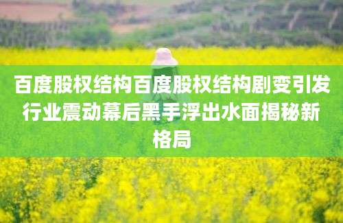 百度股权结构百度股权结构剧变引发行业震动幕后黑手浮出水面揭秘新格局
