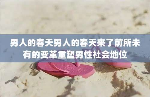 男人的春天男人的春天来了前所未有的变革重塑男性社会地位