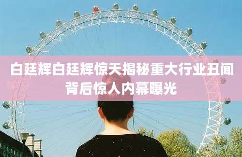 白廷辉白廷辉惊天揭秘重大行业丑闻背后惊人内幕曝光