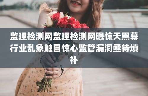 监理检测网监理检测网曝惊天黑幕行业乱象触目惊心监管漏洞亟待填补