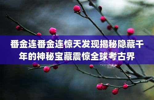 番金连番金连惊天发现揭秘隐藏千年的神秘宝藏震惊全球考古界
