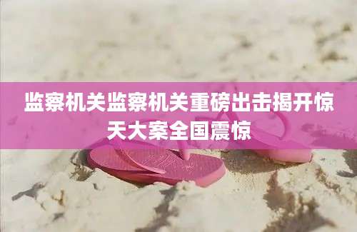监察机关监察机关重磅出击揭开惊天大案全国震惊