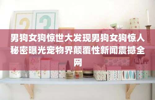 男狗女狗惊世大发现男狗女狗惊人秘密曝光宠物界颠覆性新闻震撼全网