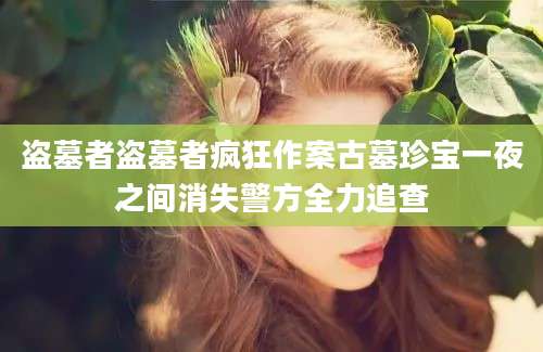 盗墓者盗墓者疯狂作案古墓珍宝一夜之间消失警方全力追查
