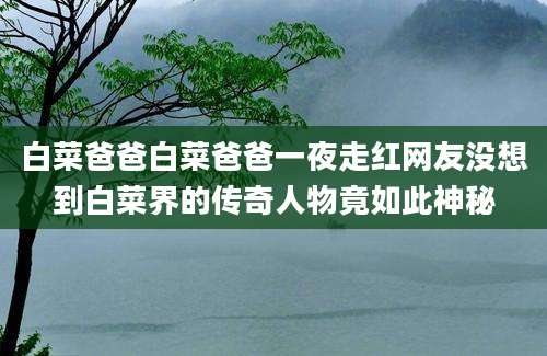 白菜爸爸白菜爸爸一夜走红网友没想到白菜界的传奇人物竟如此神秘