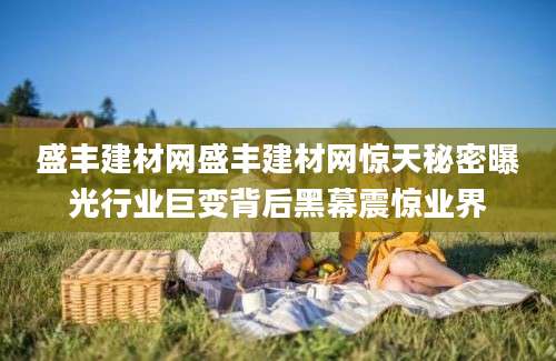 盛丰建材网盛丰建材网惊天秘密曝光行业巨变背后黑幕震惊业界