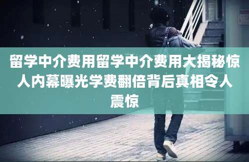 留学中介费用留学中介费用大揭秘惊人内幕曝光学费翻倍背后真相令人震惊