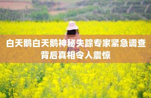 白天鹅白天鹅神秘失踪专家紧急调查背后真相令人震惊
