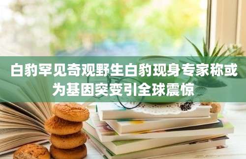 白豹罕见奇观野生白豹现身专家称或为基因突变引全球震惊