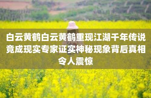 白云黄鹤白云黄鹤重现江湖千年传说竟成现实专家证实神秘现象背后真相令人震惊