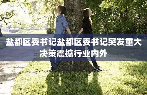 盐都区委书记盐都区委书记突发重大决策震撼行业内外