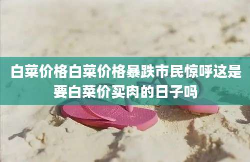 白菜价格白菜价格暴跌市民惊呼这是要白菜价买肉的日子吗