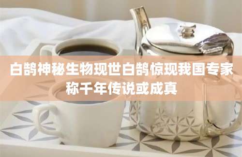 白鹄神秘生物现世白鹄惊现我国专家称千年传说或成真