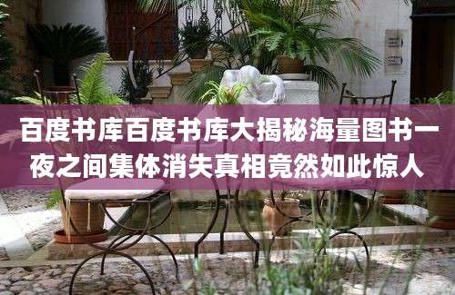 百度书库百度书库大揭秘海量图书一夜之间集体消失真相竟然如此惊人