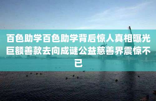 百色助学百色助学背后惊人真相曝光巨额善款去向成谜公益慈善界震惊不已