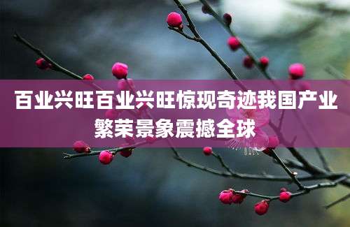 百业兴旺百业兴旺惊现奇迹我国产业繁荣景象震撼全球