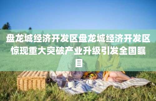 盘龙城经济开发区盘龙城经济开发区惊现重大突破产业升级引发全国瞩目