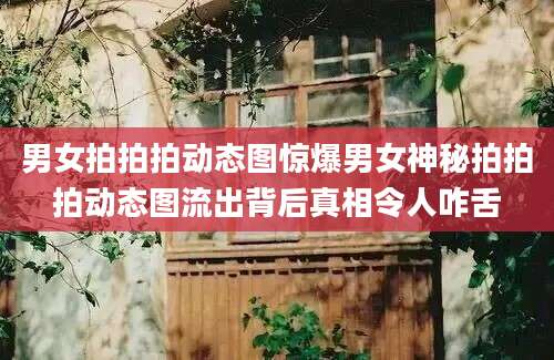 男女拍拍拍动态图惊爆男女神秘拍拍拍动态图流出背后真相令人咋舌