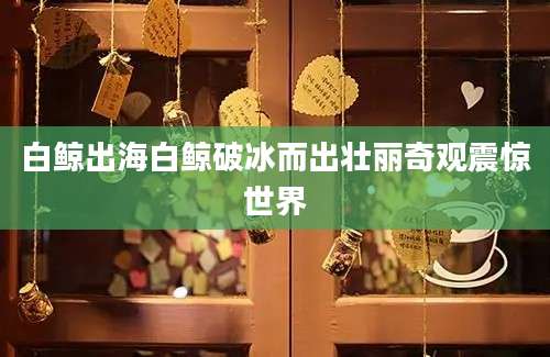 白鲸出海白鲸破冰而出壮丽奇观震惊世界