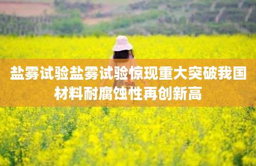 盐雾试验盐雾试验惊现重大突破我国材料耐腐蚀性再创新高