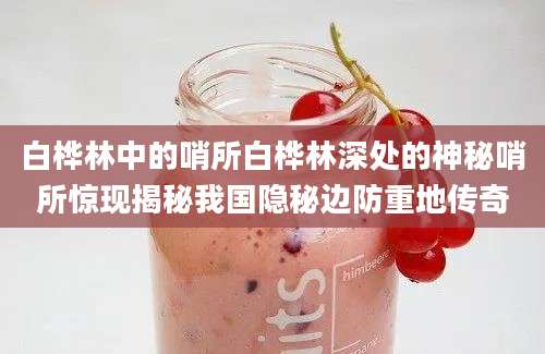 白桦林中的哨所白桦林深处的神秘哨所惊现揭秘我国隐秘边防重地传奇