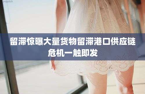 留滞惊曝大量货物留滞港口供应链危机一触即发