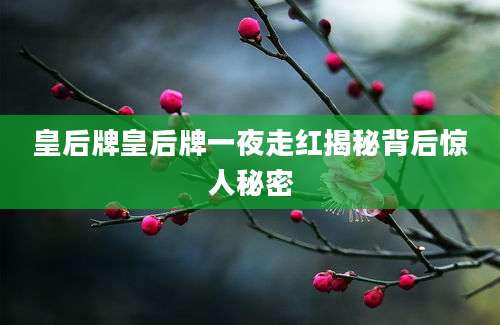 皇后牌皇后牌一夜走红揭秘背后惊人秘密