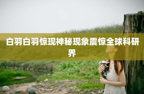 白羽白羽惊现神秘现象震惊全球科研界